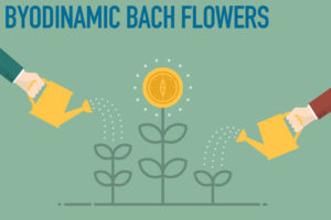 Biodynamic Bach Flowers